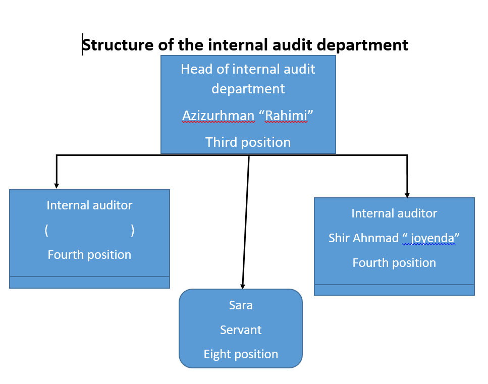 Introducing The Internal Audit Department ASA ASA